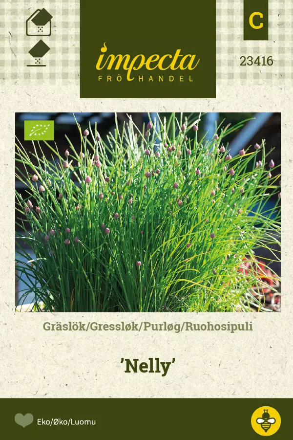 Sipuli, ruoho- siemen - Annossiemenet - 7332756234167 - 1