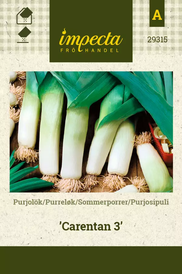 Sipuli, purjo- siemen - Annossiemenet - 7332756293157 - 1