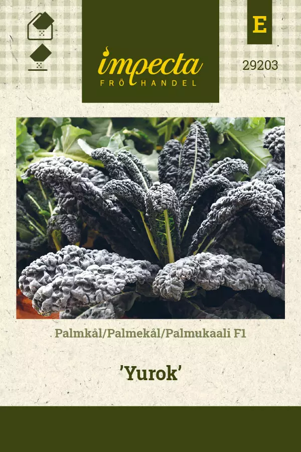 Kaali, palmu- siemen - Annossiemenet - 7332756292037 - 1