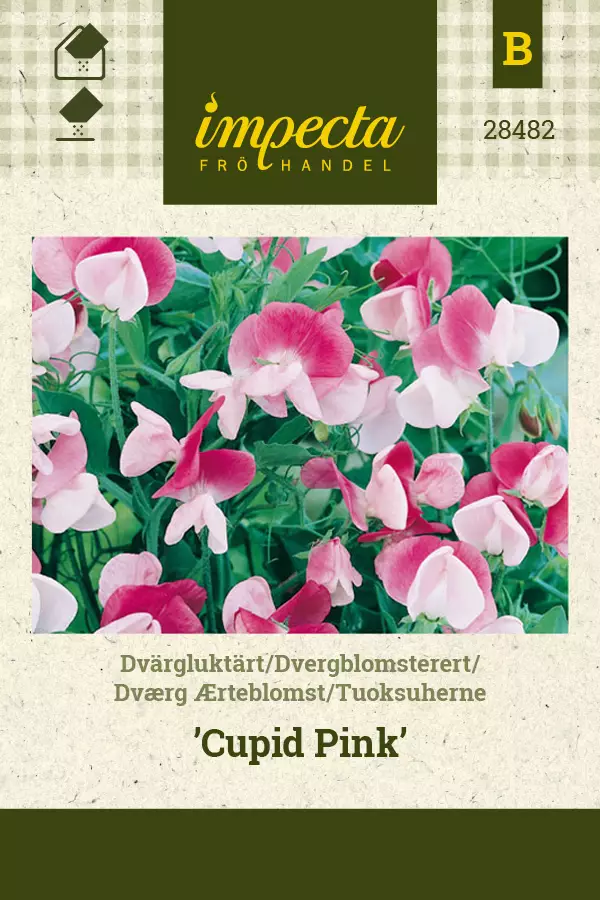 Tuoksuherne siemen - Annossiemenet - 7332756284827 - 1