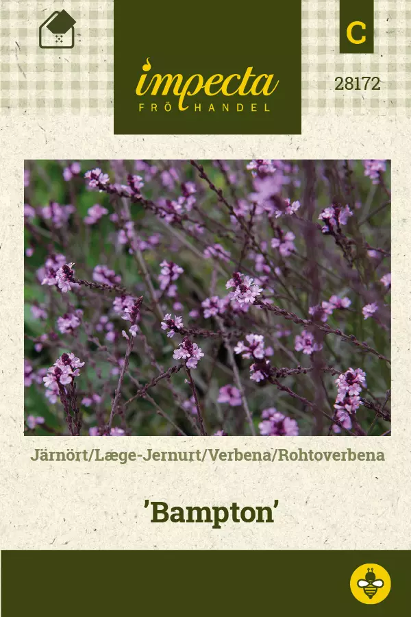 Verbena, rohto- siemen - Annossiemenet - 7332756281727 - 1