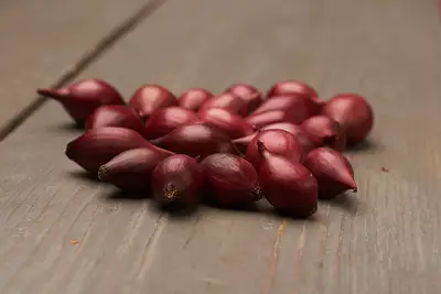 Punasipuli 500g, `Red Baron` - Istukassipulit - 8713793001148 - 1