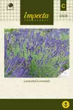 Laventeli, tähkä- siemen - Annossiemenet - 7332756231258 - 1