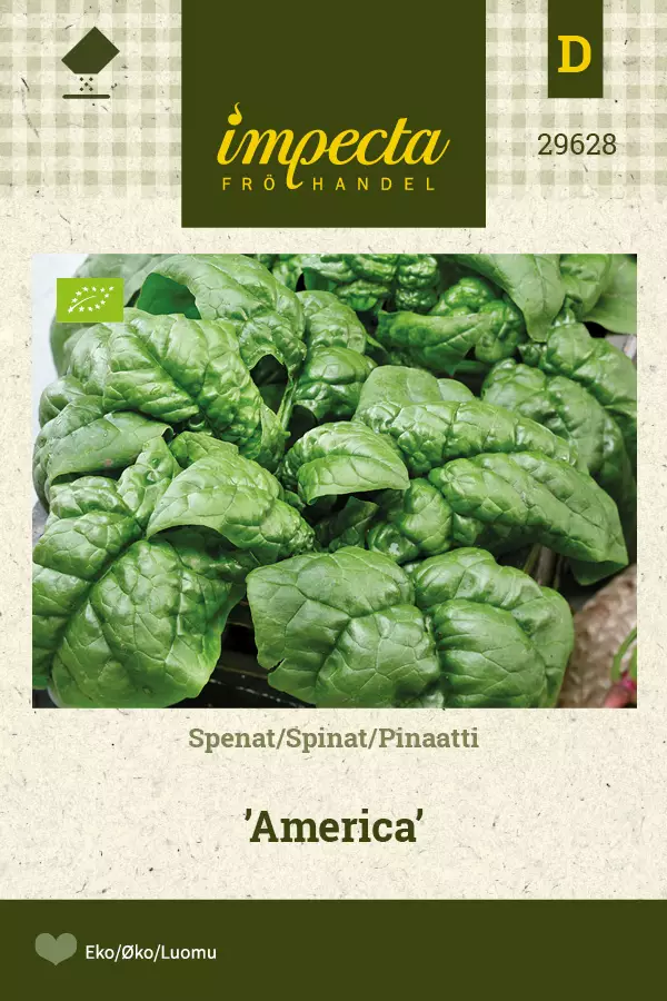 Pinaatti siemen - Annossiemenet - 7332756296288 - 1