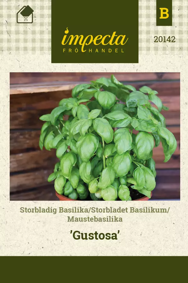 Basilika, mauste- siemen - Annossiemenet - 7332756201428 - 1