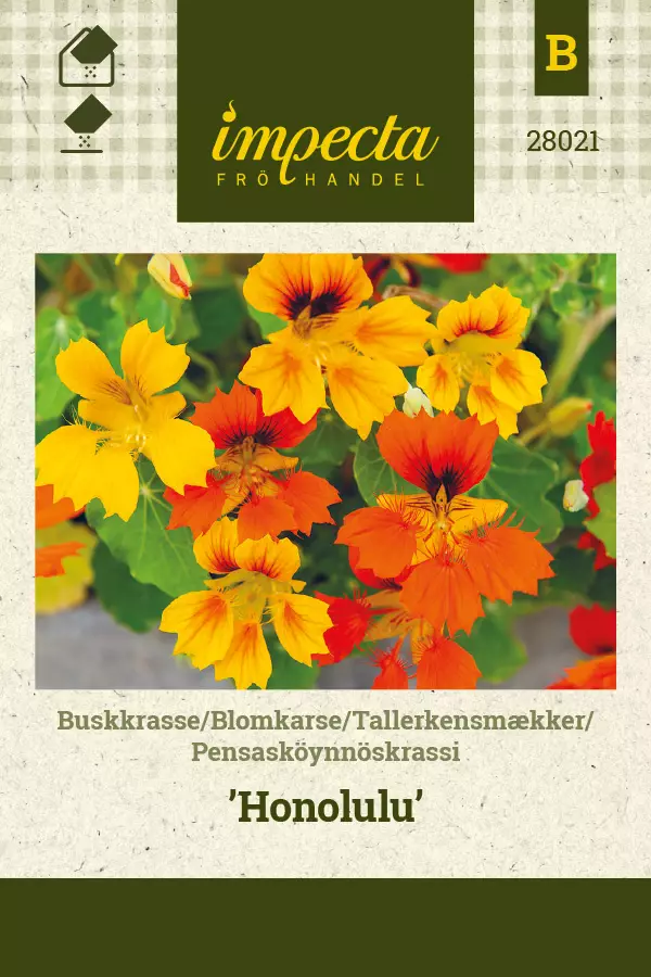 Krassi, pensasköynnös- siemen - Annossiemenet - 7332756280218 - 1