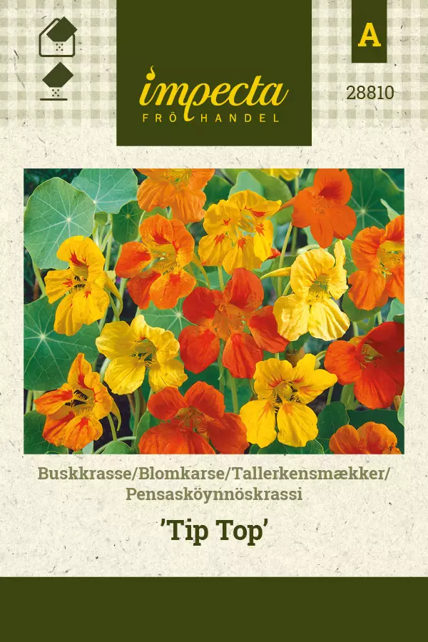 Krassi, pensasköynnös- siemen - Annossiemenet - 7332756288108 - 1