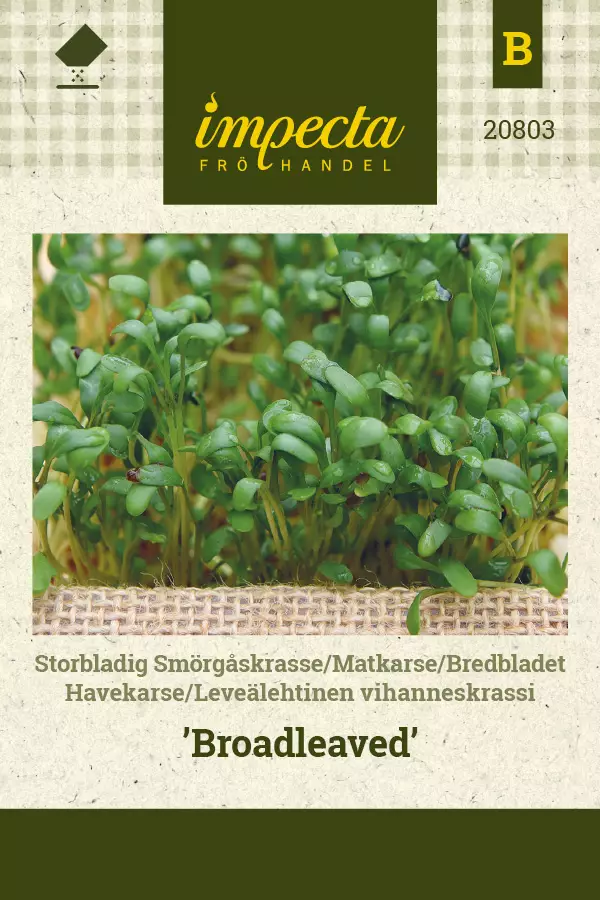 Krassi, vihannes- siemen - Annossiemenet - 7332756208038 - 1