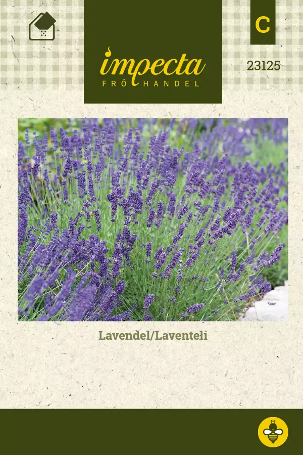 Laventeli, tähkä- siemen - Annossiemenet - 7332756231258 - 1