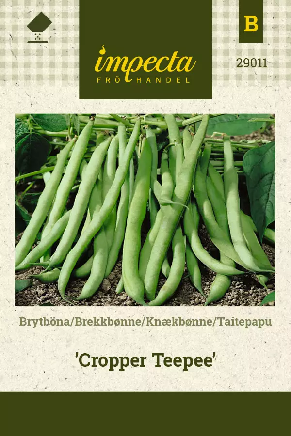 Papu, taite- siemen - Annossiemenet - 7332756290118 - 1