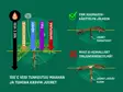 Eco Weedkiller garden - Koneet ja laitteet - AB10010012049 - 3
