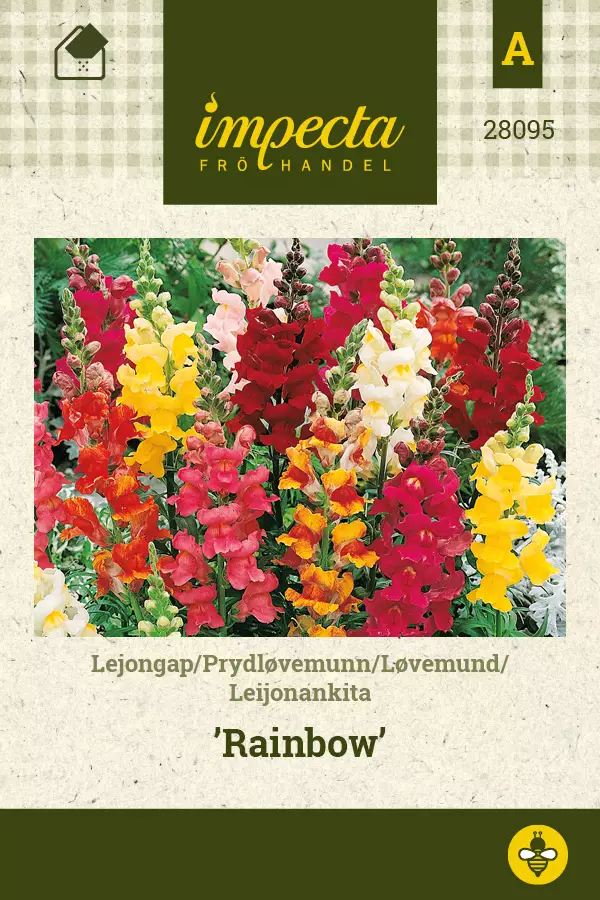 Leijonankita siemen - Annossiemenet - 7332756280959 - 1