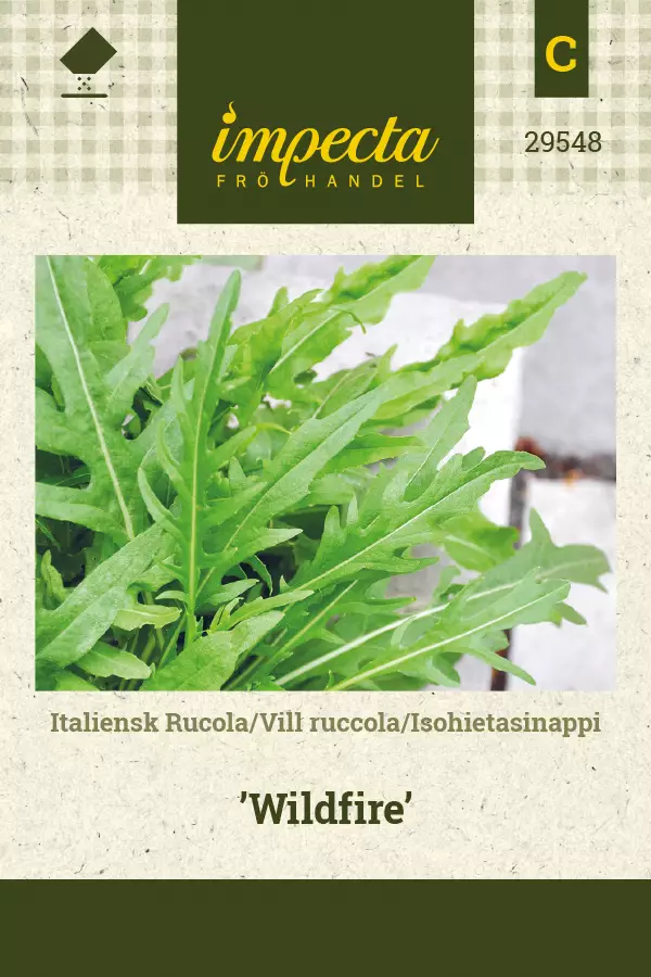 Rukola/isohietasinappi siemen - Annossiemenet - 7332756295489 - 1