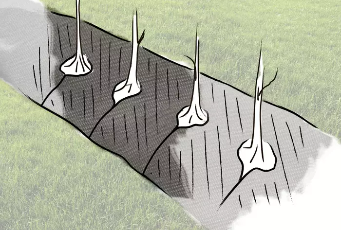 Aitakangas - Katekankaat - 6430040628539 - 3