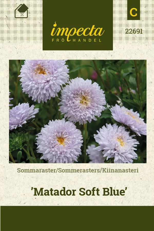 Asteri, kiinan- siemen - Annossiemenet - 7332756226919 - 1