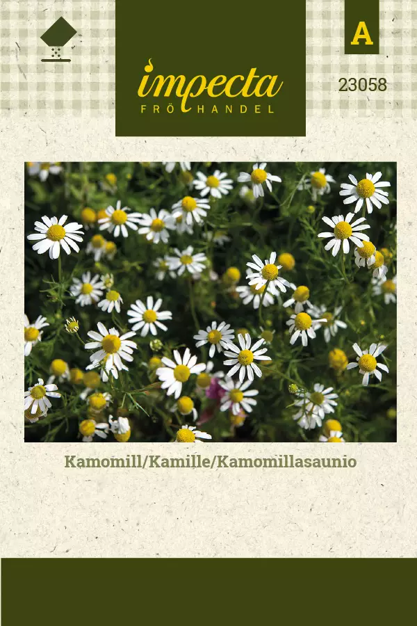 Kamomillasaunio siemen - Annossiemenet - 7332756230589 - 1