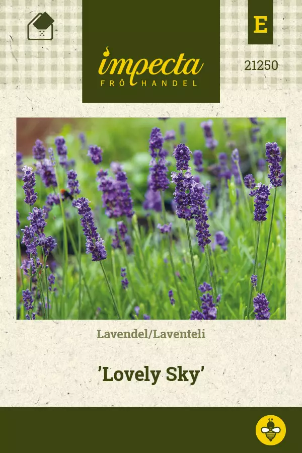 Laventeli, tähkä- siemen - Annossiemenet - 7332756212509 - 1