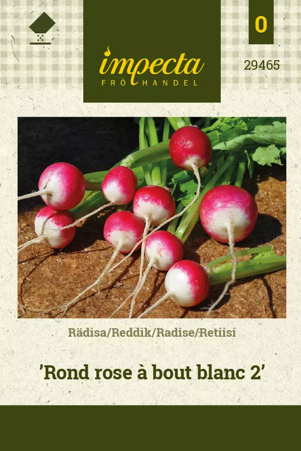 Retiisi siemen - Annossiemenet - 7332756294659 - 1